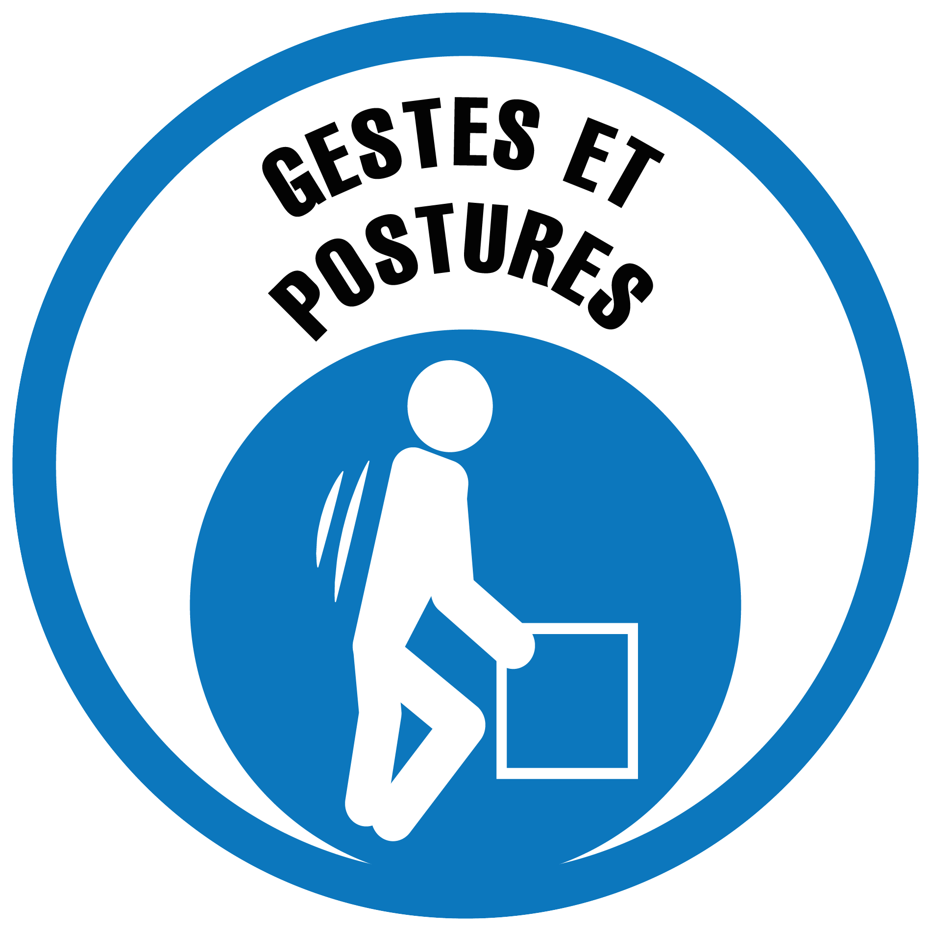 formation gestes et postures